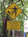 Cape tribulation - 01