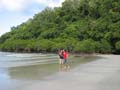Cape tribulation - 05