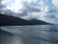 Cape tribulation - 11