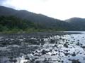 Cape tribulation - 16