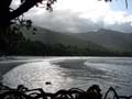 Cape tribulation - 28