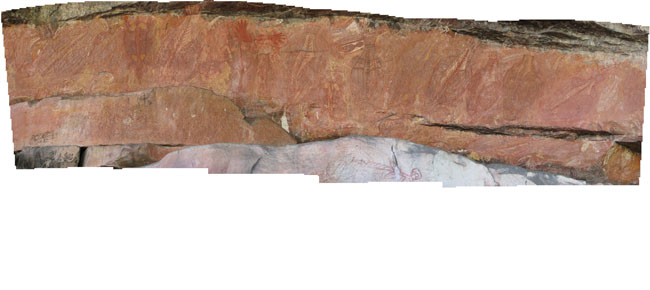 Kakadu - Abriginal  #41333B