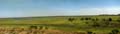 Kakadu - wet land 2