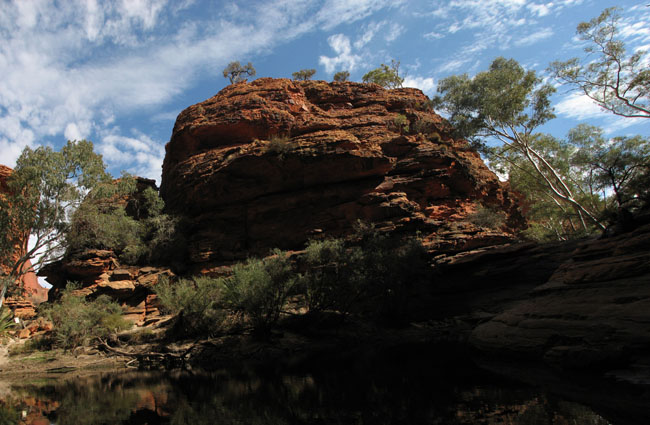 Kings Kanyon - waterhole2