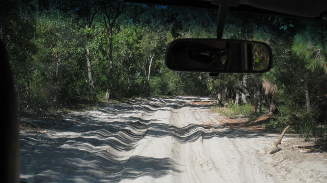 Moreton Island - 018