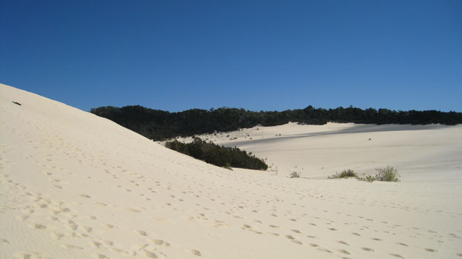 Moreton Island - 021