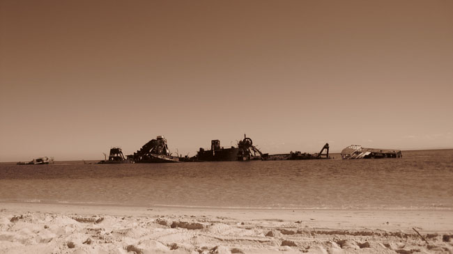 Moreton Island - 046
