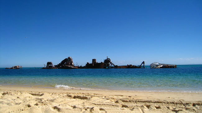 Moreton Island - 047