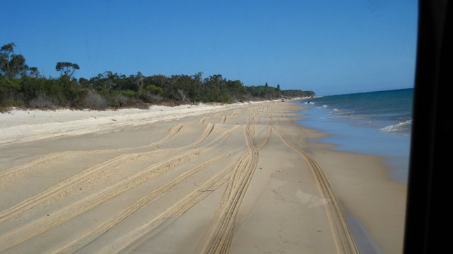 Moreton Island - 060