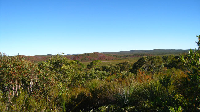 Moreton Island - 067