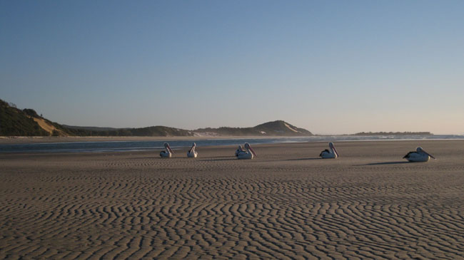 Moreton Island - 093