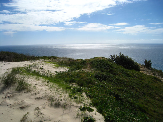 Moreton Island - 145