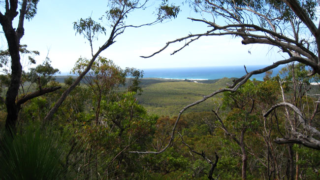 Moreton Island - 154