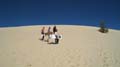 Moreton Island - 024