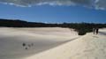Moreton Island - 026