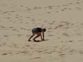 Moreton Island - 035