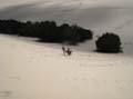 Moreton Island - 037