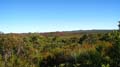 Moreton Island - 067