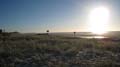 Moreton Island - 087
