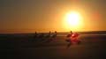 Moreton Island - 103