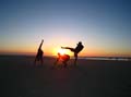 Moreton Island - 114