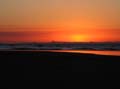 Moreton Island - 119