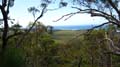 Moreton Island - 154