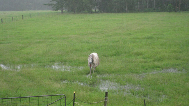 Nimbin Easter - 013