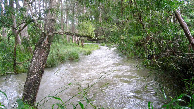 Nimbin Easter - 019