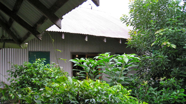 Nimbin Easter - 054