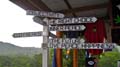 Nimbin Easter - 012