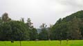 Nimbin Easter - 016