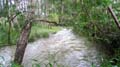 Nimbin Easter - 019