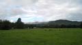 Nimbin Easter - 020