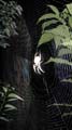 Nimbin Easter - 027
