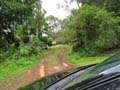 Nimbin Easter - 047
