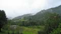 Nimbin Easter - 066