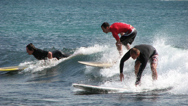 Surfaris and Byron B#2F5648