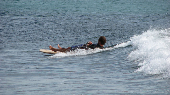 Surfaris and Byron B#2F565B