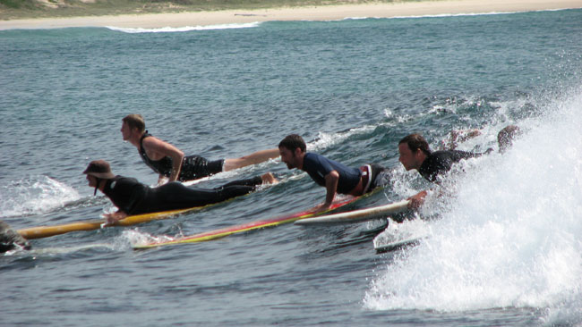 Surfaris and Byron B#2F5680