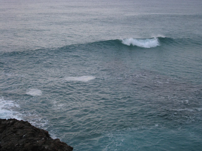Surfaris and Byron B#2F56C5