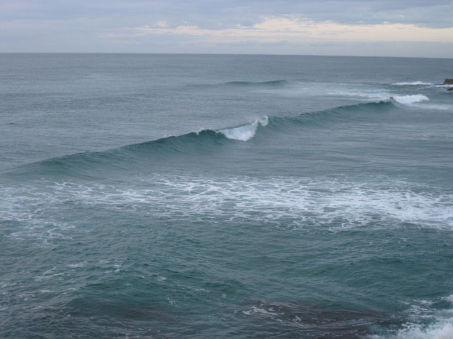 Surfaris and Byron B#2F56C6