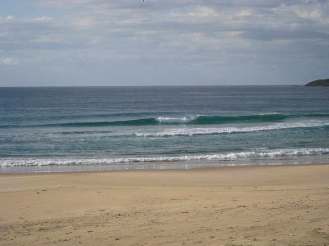 Surfaris and Byron B#2F5700
