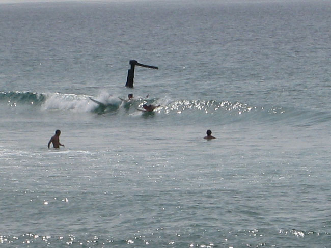 Surfaris and Byron B#2F571E