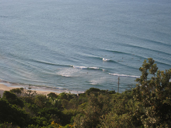 Surfaris and Byron B#2F572E