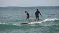 Surfaris and Byron B#2F5610