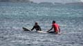 Surfaris and Byron B#2F5639