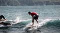 Surfaris and Byron B#2F563C