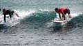 Surfaris and Byron B#2F563F