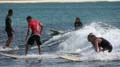 Surfaris and Byron B#2F564D